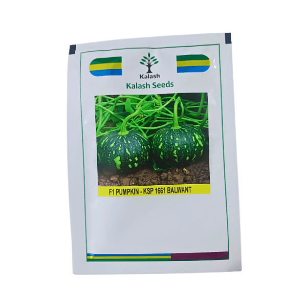 102.png Kalash KSP 1661 Balwant F1 Hybrid Pumpkin Vegetable Seeds - Image 1