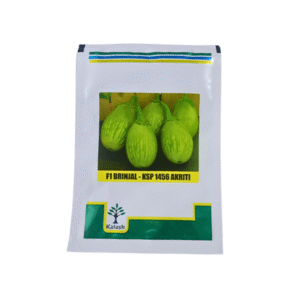 Kalash KSP 1456 AKriti F1 Hybrid Brinjal Vegetable Seeds