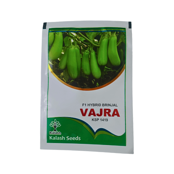 110.png Kalash KSP 1419 Vajra F1 Hybrid Brinjal Vegetable Seeds - Image 1