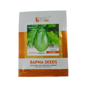 Bapana BHHB 22 Hari Premium  Hybrid Brinjal Vegetable Seeds