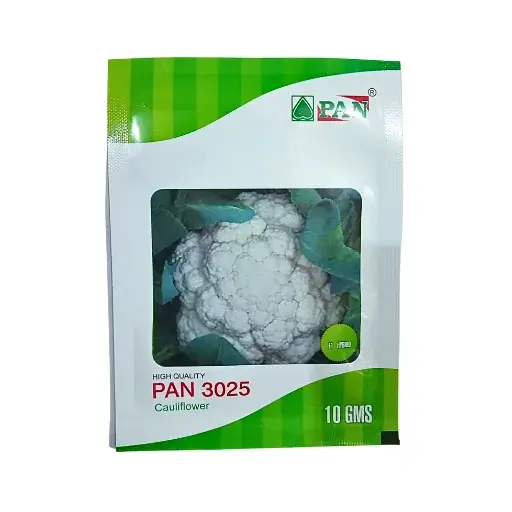 18.webp PAN (Pan 3025) F1 Hybrid Cauliflower Best Vegetable Seeds Online India 10gm - Image 1