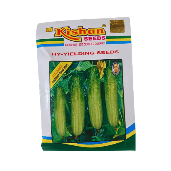 46.png Kishan Barsha Rani Improved Cucumber Vegetable Seeds - Image 1