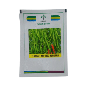 Kalash KSP 1332 Hungama F1 Hybrid Chilly Vegetable Seeds