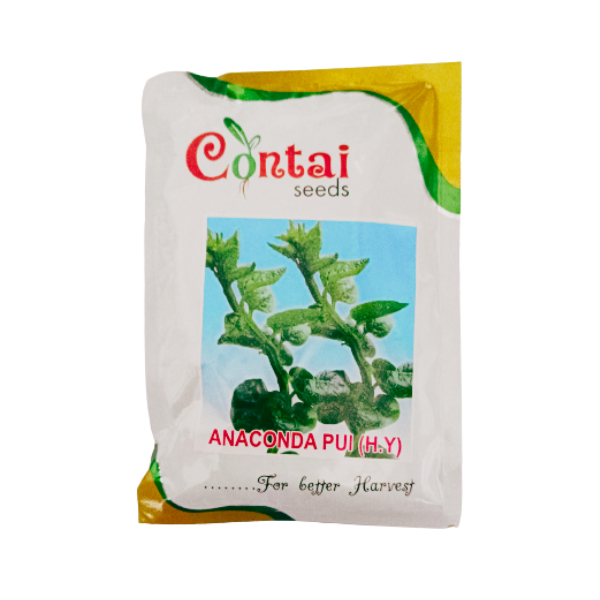 Contai Seeds Anaconda Pui h.y
