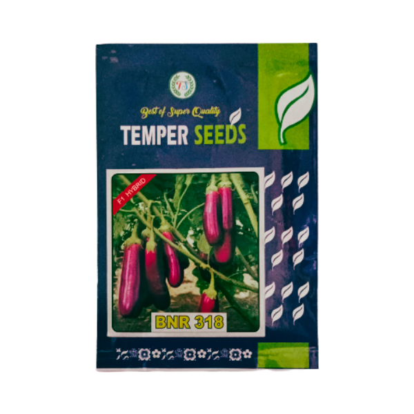 Temper-F1-Hybrid-Brinjal-Seeds-Bnr-318.png Temper F1 Hybrid Brinjal BMR 318 Best Vegetable Seeds - Image 1